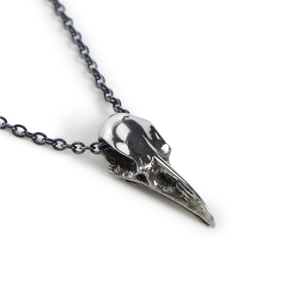 Silver Skull Pendant Necklace